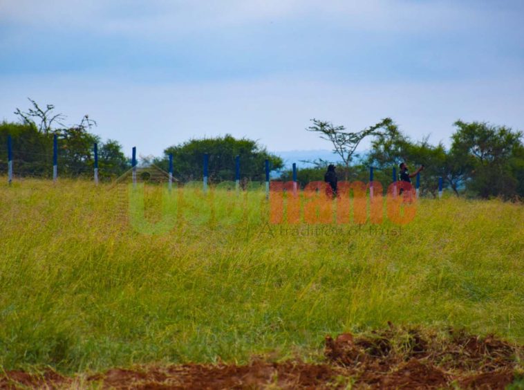 Konza Manor Gardens.Laand & plots for sale in Konza Kenya by Username Properties Ltd (2)