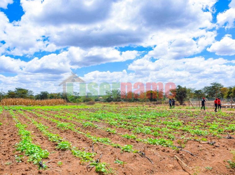 Land & Plots for sale in Kitengela Amber Estate-Kitengela (1)