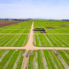 Land For Sale in Havanna Estate Nakuru