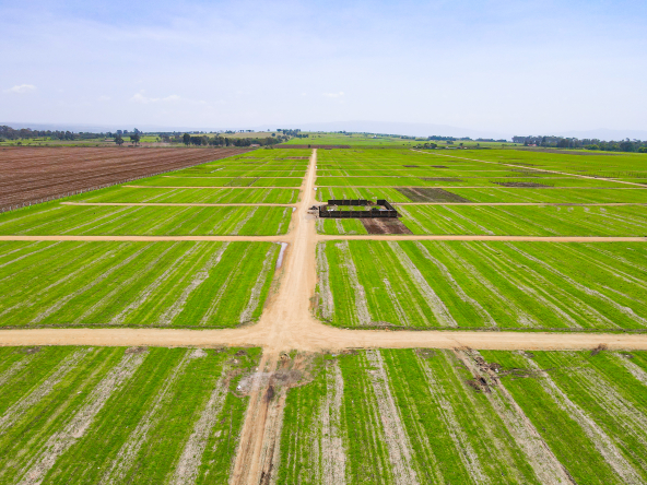 Land For Sale in Havanna Estate Nakuru