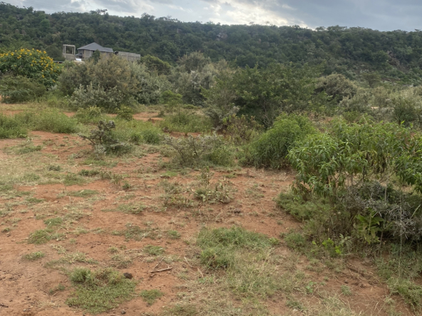 50 By 100 Plot For Sale At Ole Marurui, Ngong