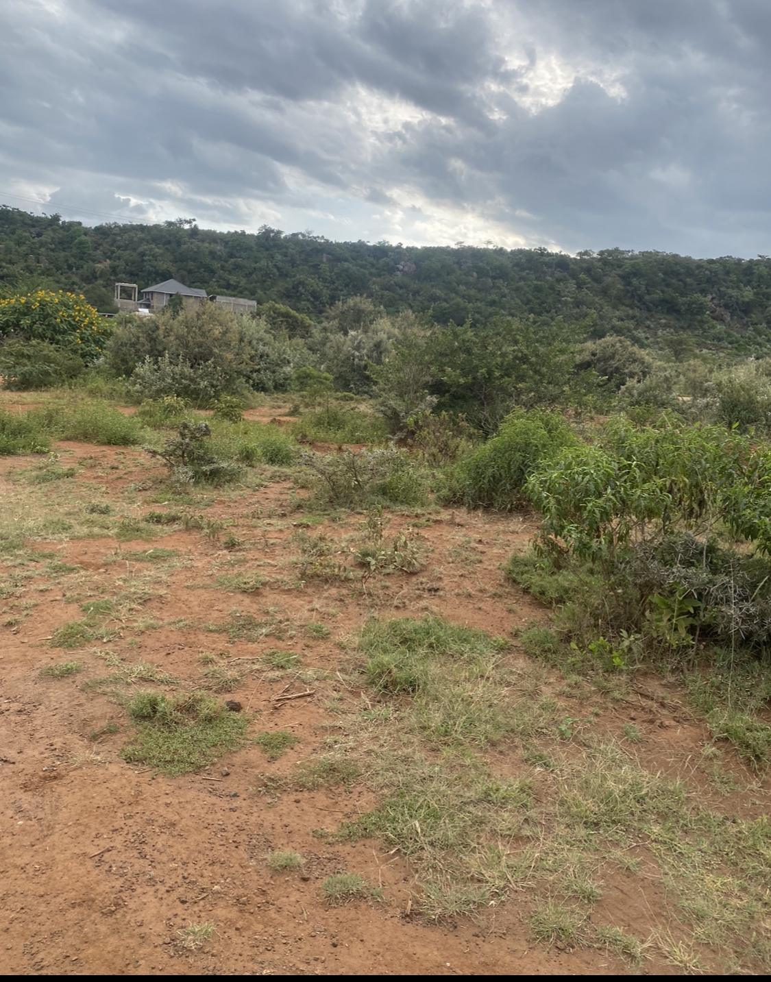 50 By 100 Plot For Sale At Ole Marurui, Ngong