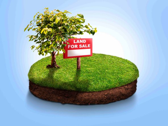 land and plots for sale in Tuala Ongata Ronga Kajiado County